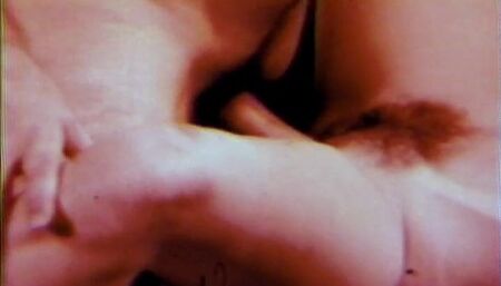 Sexy vintage hairy pussy fucking party