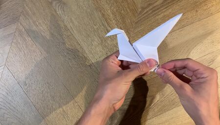 ASMR dinosaur origami
