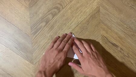 ASMR fish origami fetish