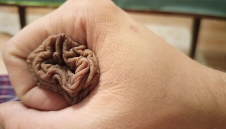 Foreskin prepuce uncut cock!