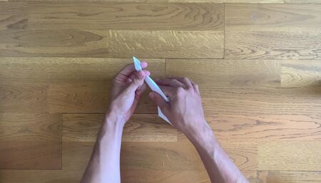 ASMR bird origami fetish