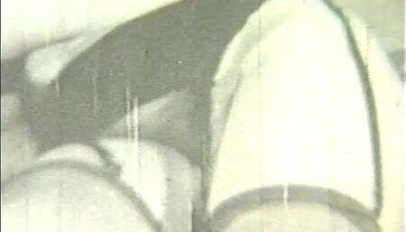 A sexy brunette in stockings loves sucking a thick cock