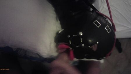 Laura is hogtied in latex catsuite and high heels, throated with a lip open mouth gag POV