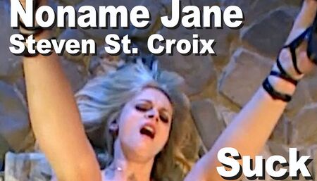 Noname Jane & Steven St. Croix suck fuck anal