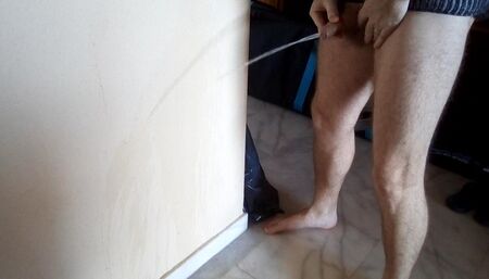 John is taking a piss on the diningroom wall