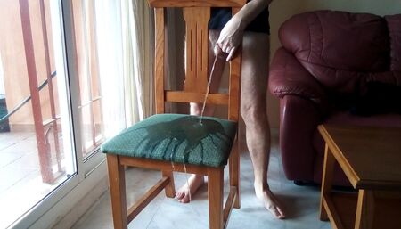 John is taking a big piss on the diningroom chair
