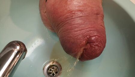 Monster pissing is like a fontein