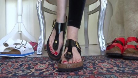 Birkis Slippers Show 4 pairs of Birkis in comparison