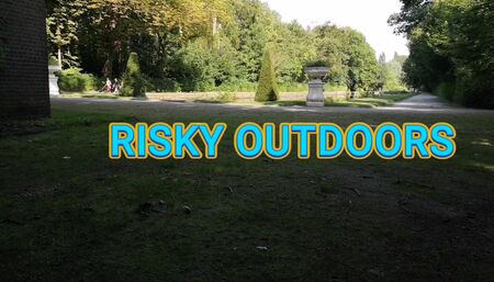 Risky Outdoors play in the parc