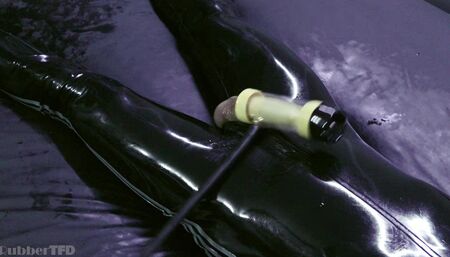 Rubber extraction asylum
