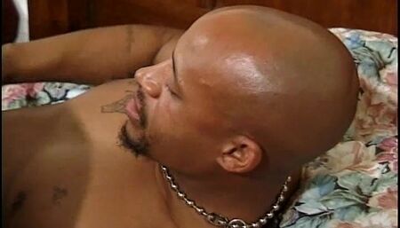 Hot gorgeous ebony gets her boobs sucked and tight pussy licked and fucked