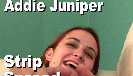Addie Juniper; strip, spread, masturbate