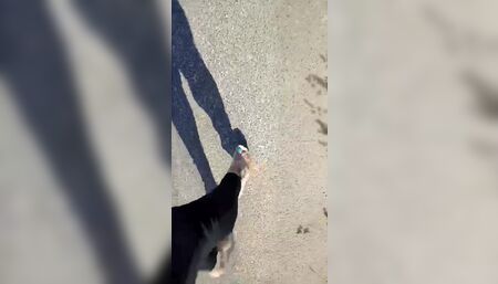 Sexy legs walking in high heels