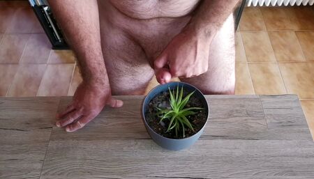 Cicci77 feeds her plants with pee and sperm to make them luxuriant