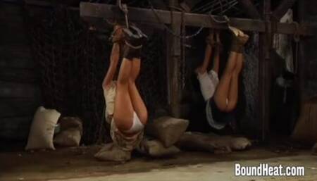 Slave Huntress II: new Girl in Bondage