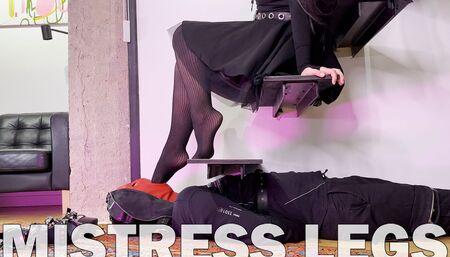 Slave worship Mistress feet and booty in sexy black fishnets and high heels