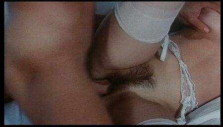 Retro hairy pussy fucking