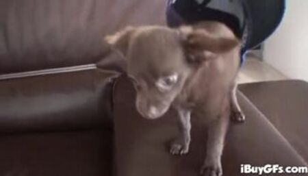 Carly Parker busty spex slut