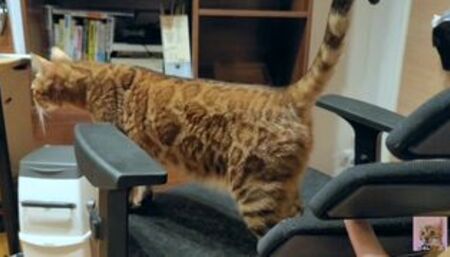 Pussy loves to jump on your fingers .... Piston play