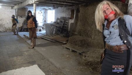 Outlaw Reprisal A Western Story HD