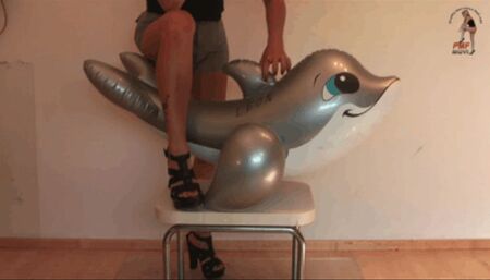 Dolphin under sweet Ass