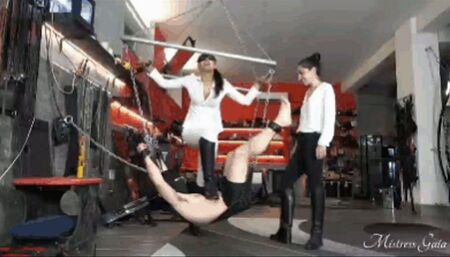 MISTRESS GAIA - TRAMPLED ON THE SLING - mobile version