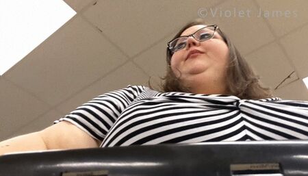 POV Grocery Cart