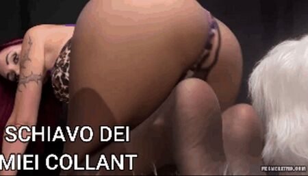 SCHIAVO DEI MIEI COLLANT