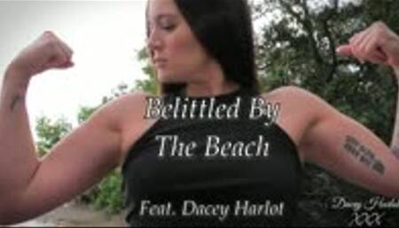 Belittled By The Beach