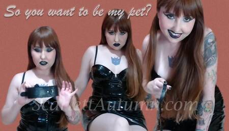 So you want to be my Pet wmv