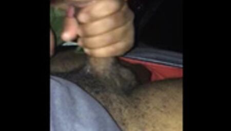 Teen swallow in the car