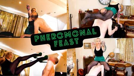 A Pheromonal Feast (1080 HD)