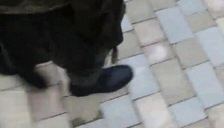 Pov muddy leather boots for the hungry doormat