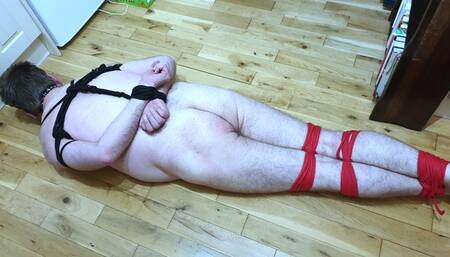 Naked bound and gagged man made to cum