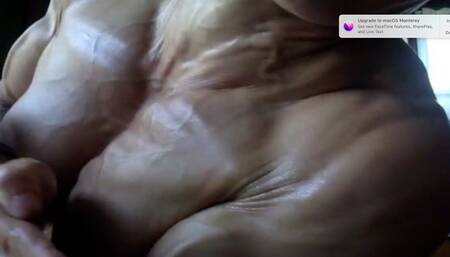 pecs and veins mp4