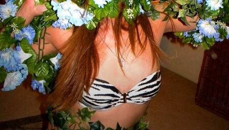 Roots of Evil: A Potpourri of Pernicious Plants (MP4)