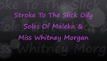 Stroke To Slick Oily Soles Of Maleka & Whitney Morgan