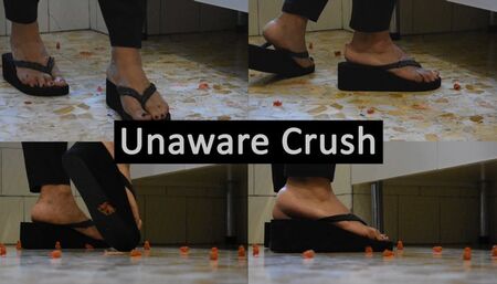 CRUSH IT - Crush Fetish - Carolina Crushes Unaware Jelly Bears In Flip Flops