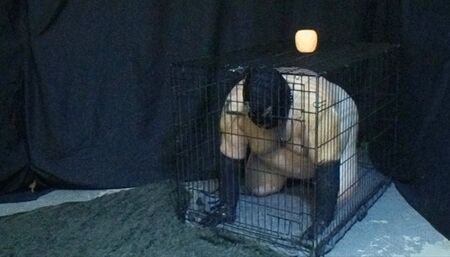 beast caged