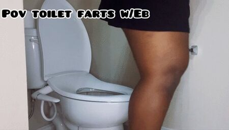 Smelly Toilet Farts