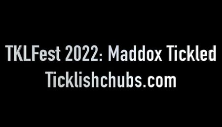 TKLFest 2022: Maddox Tickled