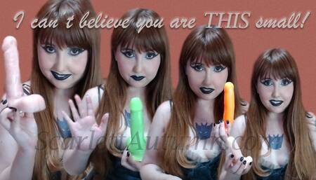 I can't believe you are this small wmv