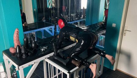 Monster Dildos for the Slut