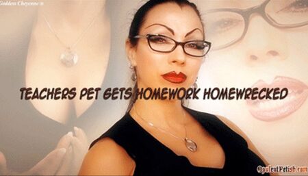 Teachers Pet Gets Home Work Home Wrecked