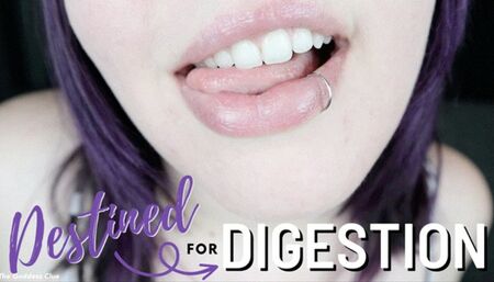 Destined for Digestion - HD