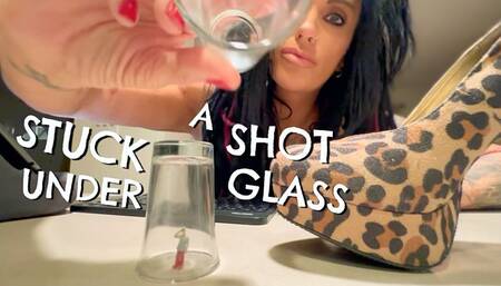 TINY MEN STUCK UNDER SHOT GLASSES