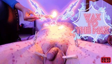 Feti Wax to the Max - Claire,Phoenix,Meiko