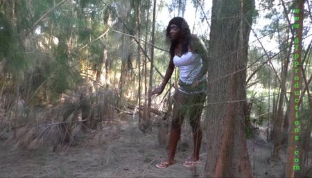 A Fairy in the Forest  HD