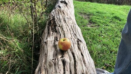 public buttcrush november 2022