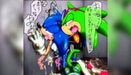 Hot Sonic porn